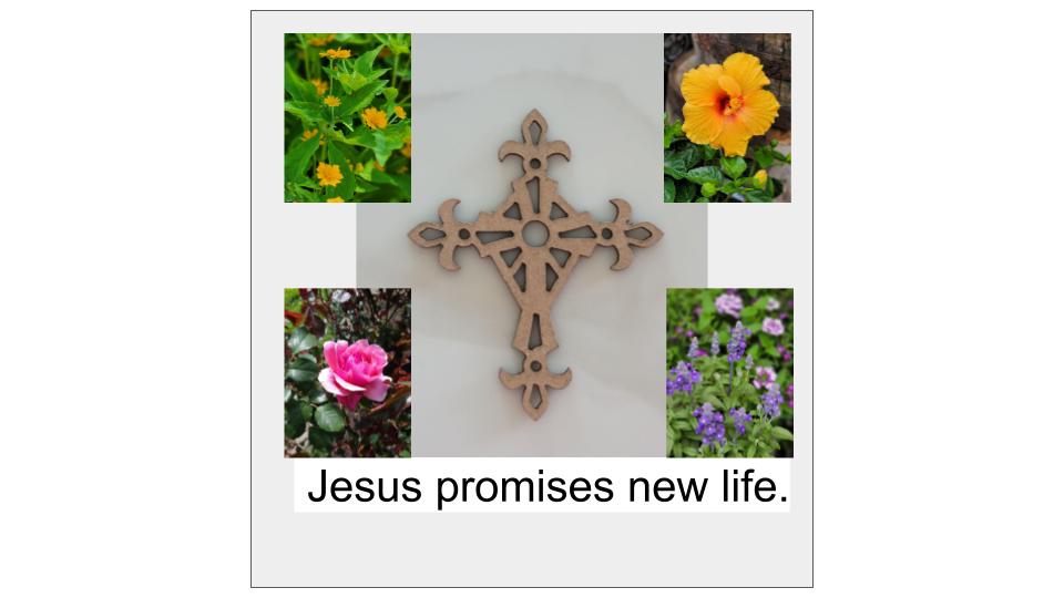 Jesus brings new life.
