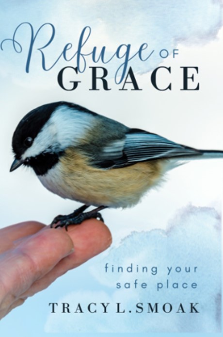 Refuge of Grace is a Bible study to comfort you in rough times.