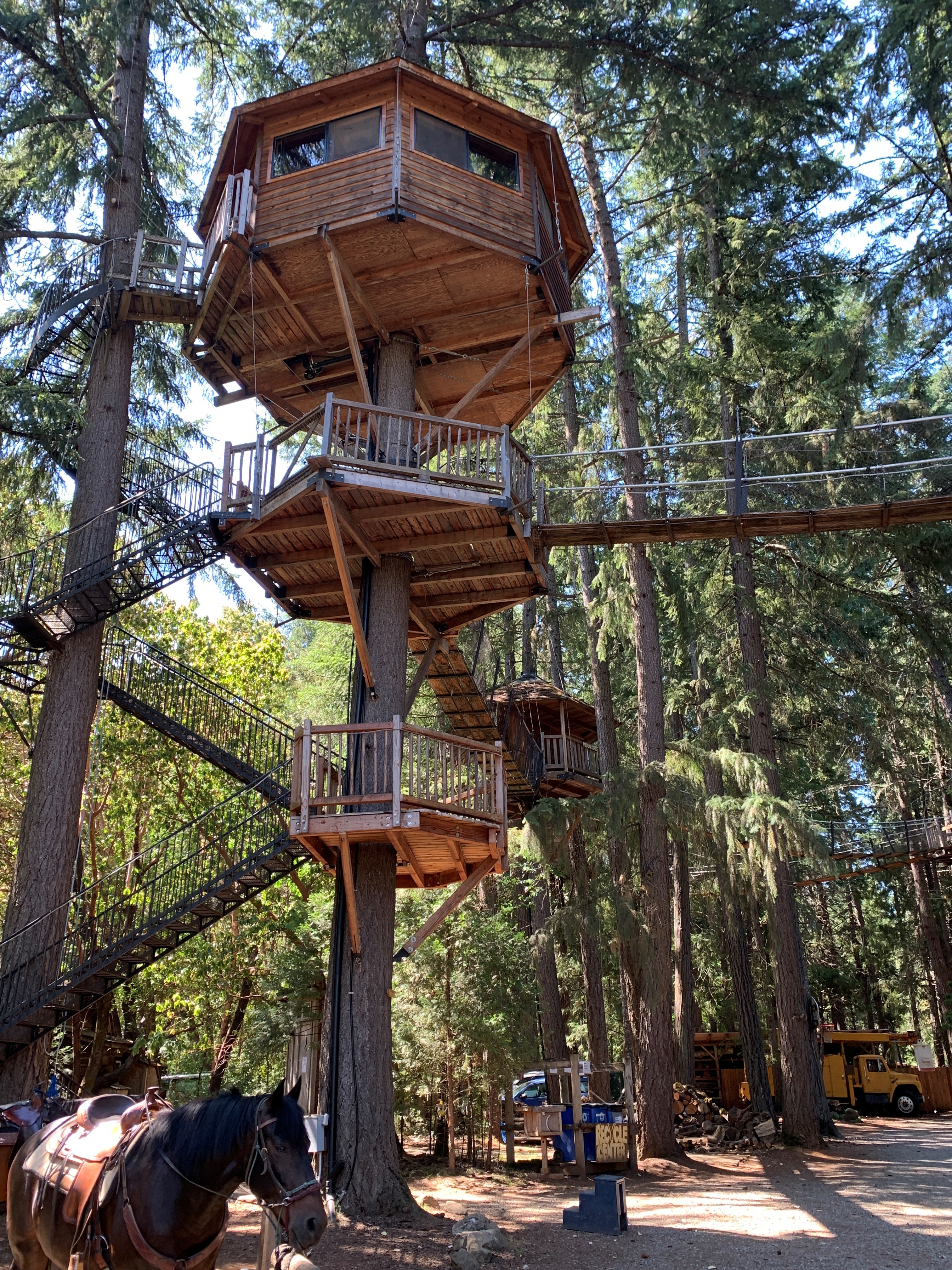 A large, tall treehouse with stairs and a bridge running off of the shelter