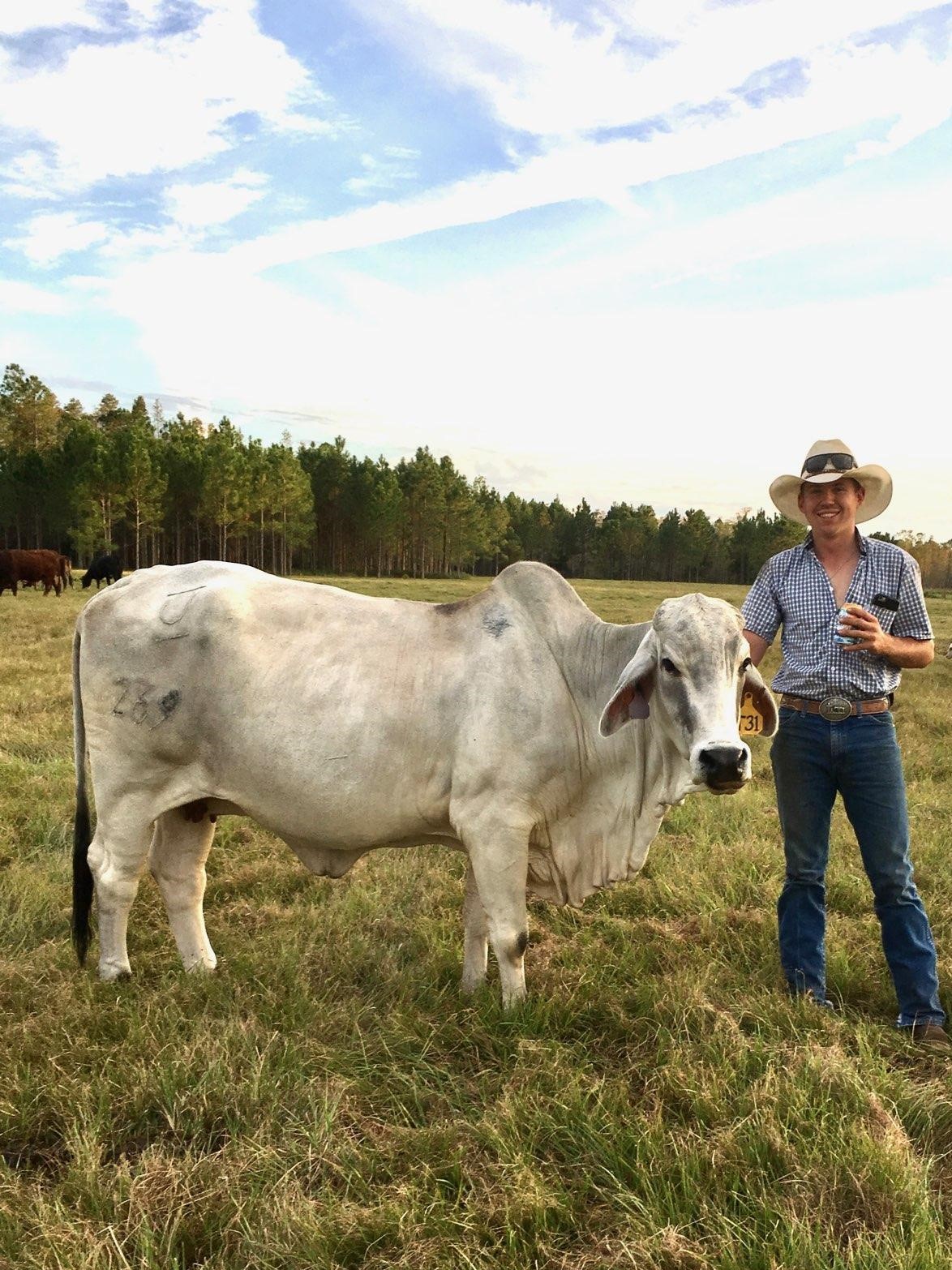 Tristan Ellis standing next to his cow