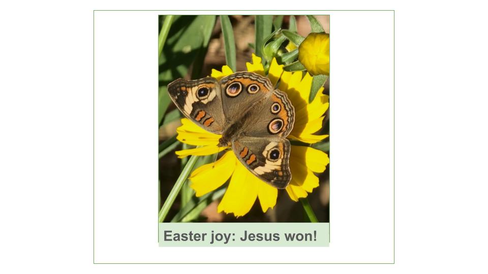 Just as butterflies symbolize new life, so does Jesus's resurrection give us hope.