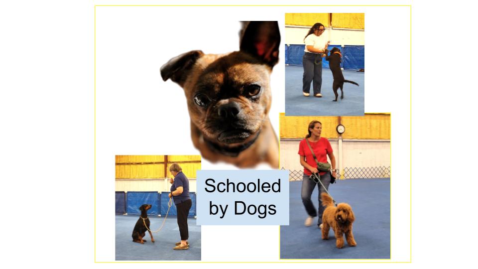 Training humans takes lots of work!