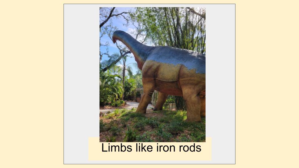 Does the Bible reference dinosaurs? 